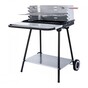 Rectangular charcoal grill with spit