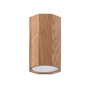 Laelamp