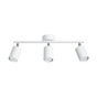 Laelamp