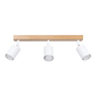 Laelamp